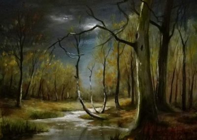 Őszi éjjel ( Olaj, 30x40 cm ) / Autumn night (Oil, 30c40 cm)