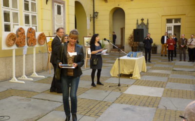„Bemutatkoznak járásaink tehetséges képzőművészei” című kiállítás